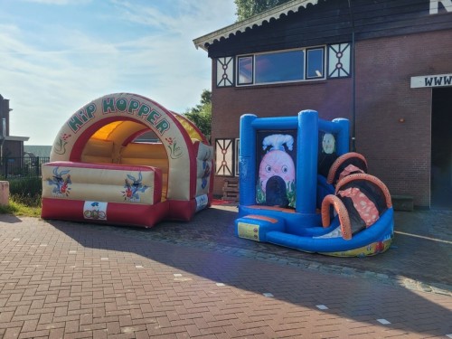 Springkussen Mini walvis met slide
